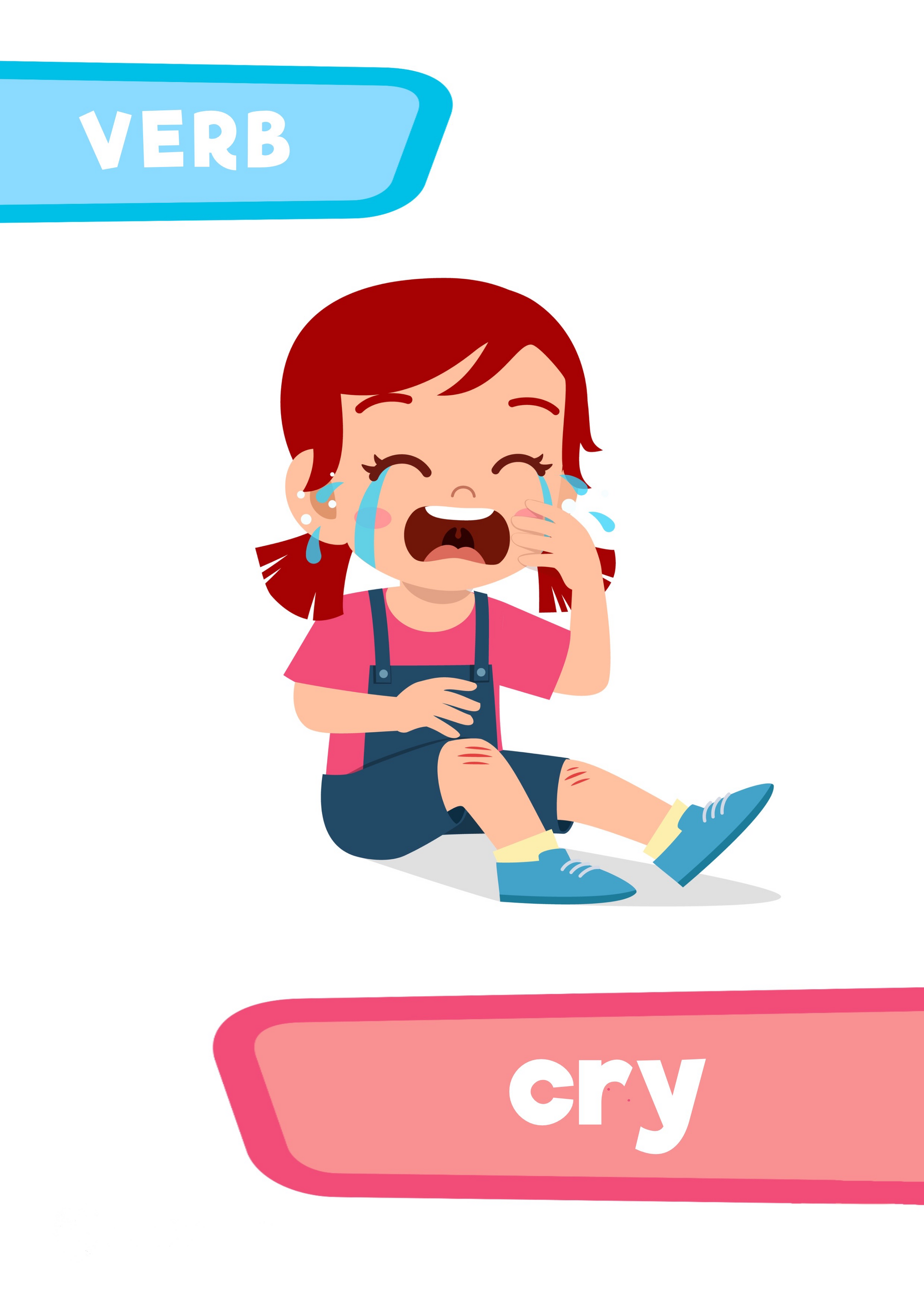 Flashcard verb cry